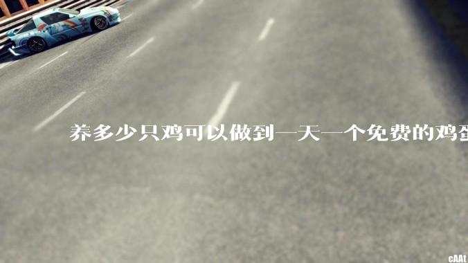 养多少只鸡可以做到一天一个免费的鸡蛋？