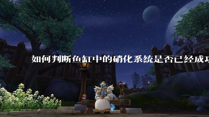 如何判断鱼缸中的硝化系统是否已经成功建立？