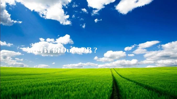 如何评价DuckDB?
