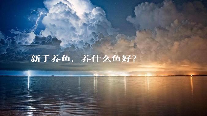 新手养鱼，养什么鱼好？