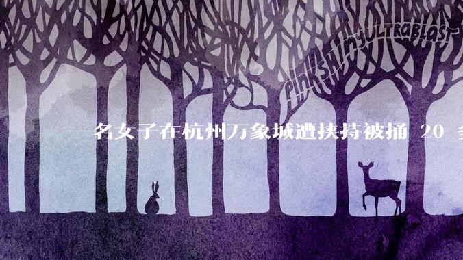 一名女子在杭州万象城遭挟持被捅 20 多刀，隆胸***体救了一命，这反映出哪些公安系统的问题？