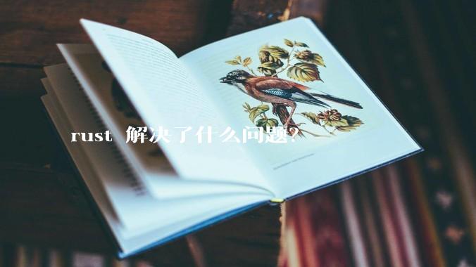 rust 解决了什么问题？