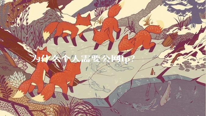 为什么个人需要公网ip？