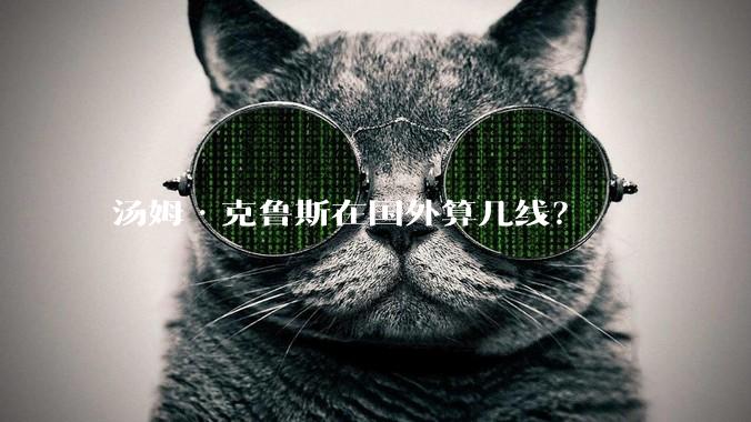 汤姆·克鲁斯在国外算几线？