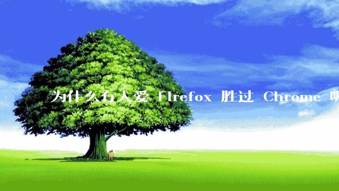 为什么有人爱 Firefox 胜过 Chrome 呢？