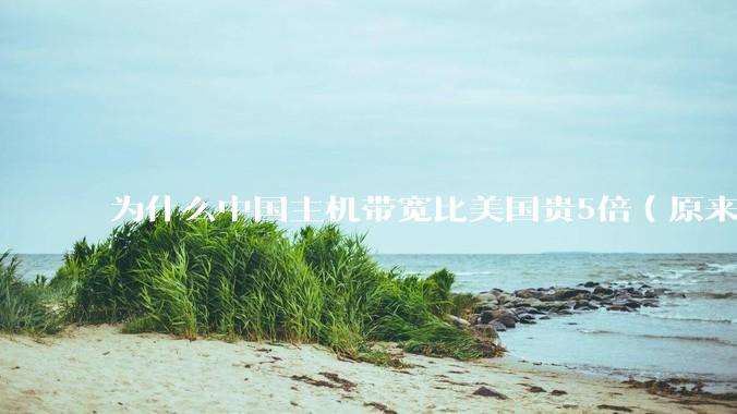 为什么中国主机带宽比美国贵5倍（原来错误的10000倍），比如阿里云？