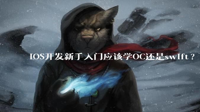 iOS开发新手入门应该学OC还是swift?