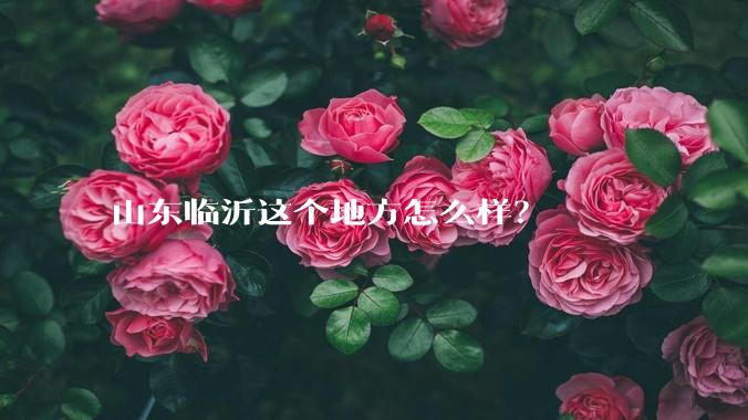 山东临沂这个地方怎么样？