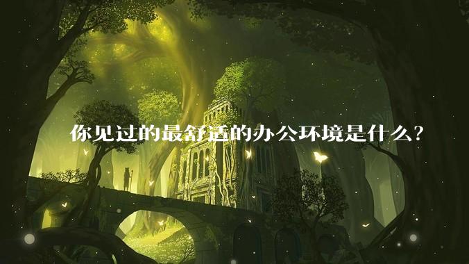 你见过的最舒适的办公环境是什么？