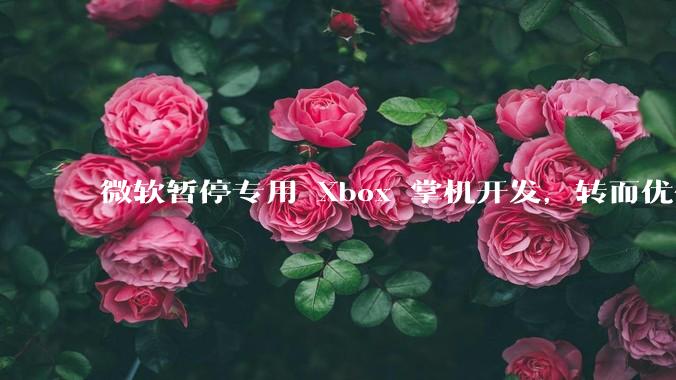 微软暂停专用 Xbox 掌机开发，转而优化 Windows 11 的掌机游戏体验，这背后原因有哪些？