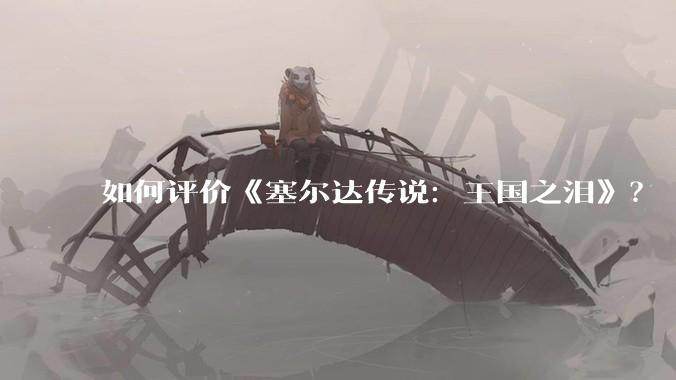 如何评价《塞尔达传说：王国之泪》？