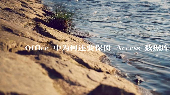 Office 中为何还要保留 Access 数据库?