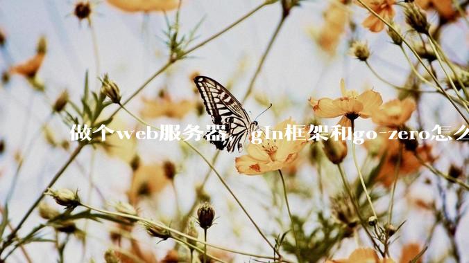 做个web服务器，gin框架和go-zero怎么选？